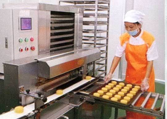 币游·国际(中国游)官方网站